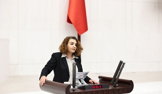 İstanbul Milletvekili Çiçek Otlu, Engellilerin Hak İhlallerini Meclis Gündemine Taşıdı