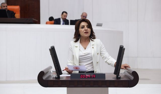 CHP Mersin Milletvekili Gülcan Kış: "Emekli Kirasını mı Ödesin, Karnını mı Doyursun?"