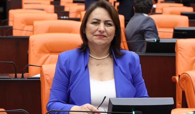 CHP Adana Milletvekili Dr. Müzeyyen Şevkin, hekimlerin maaş sorununu meclis gündemine taşıdı