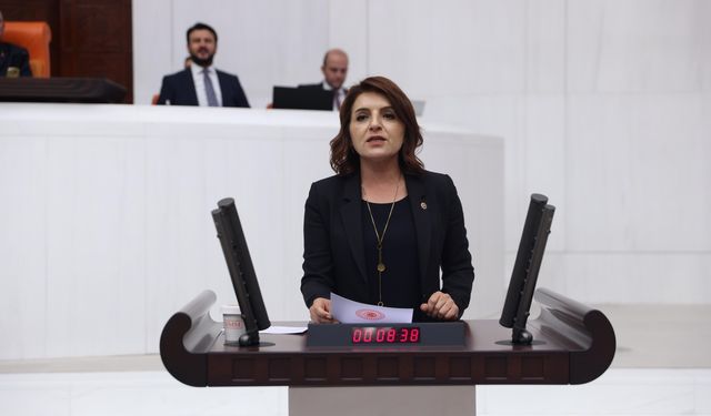 CHP Mersin Milletvekili Gülcan Kış: “Balık Çiftlikleri Ekosisteme ve Turizme Zarar Verecek”