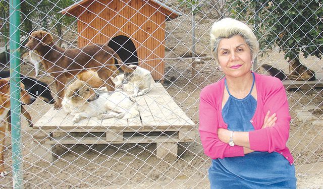 Nesrin ÇITIRIK'tan TBMM'deki 'Katliam Yasası'na Sert Tepki: "Hayvanların Öldürülmesine İzin Vermeyeceğiz"