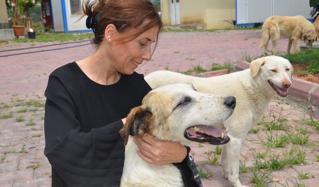 OYA TEKİN’DEN SOKAK HAYVANLARI YASASI AÇIKLAMASI:  “HALKIMIZI İNANILMAZ DERECEDE KUTUPLAŞTIRIYOR”