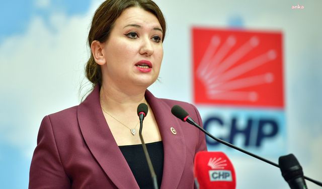 CHP'li Gökçe Gökçen’den Sert Tepki: "Ahmakça Yargılamalarla Hiçbir Yere Varamazsınız!"