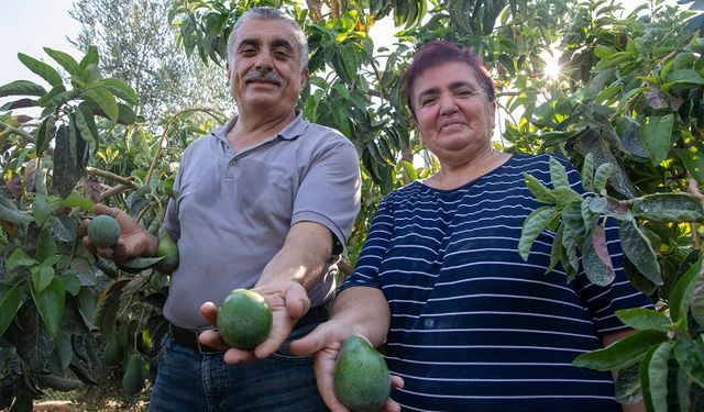 MERSİN BÜYÜKŞEHİR'İN TARIMDA DESTEK PROJELERİ İLE KIRSALDA ARAZİLER BOŞ KALMIYOR