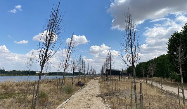 CHP’li Yazgan’dan millet bahçesi tepkisi  ‘Doğayı değil, betonu seviyorsunuz’