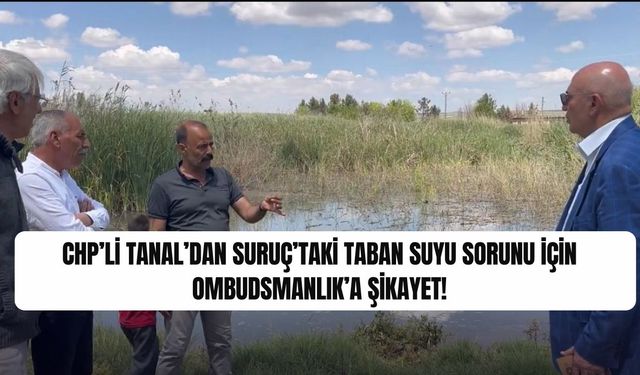 CHP’li Tanal’dan Suruç’taki Taban Suyu Sorunu için Ombudsmanlık’a Şikayet