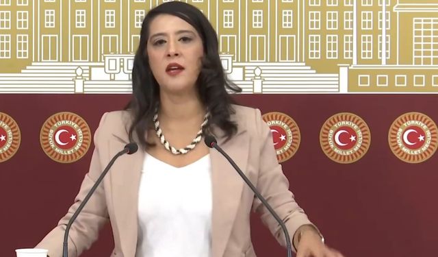 Emek Partisi Gaziantep Milletvekili Sevda Karaca: "2025 Bütçesi, İktidarın İddia Ettiği Gibi Değil"