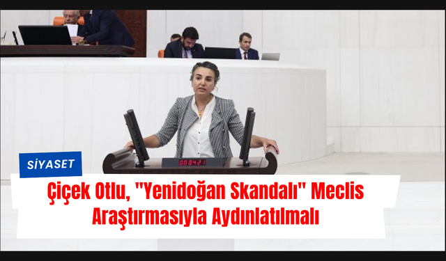 Çiçek Otlu,"Yenidoğan Skandalı" Meclis Araştırmasıyla Aydınlatılmalı