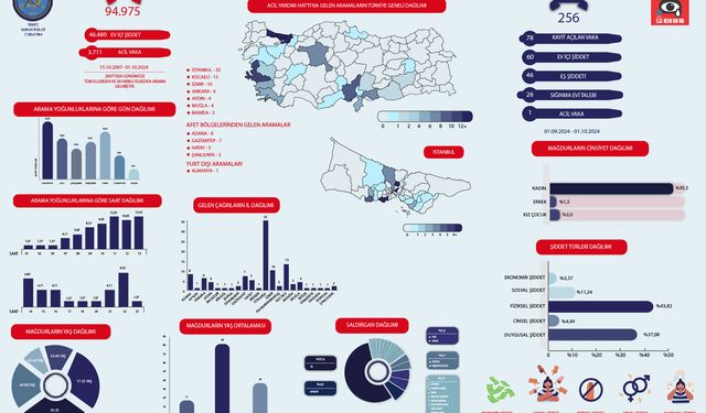 2024 Eylül Ayında Ev İçi Şiddet İhbarlarında Artış: Türkiye Kadın Dernekleri Federasyonu Raporladı