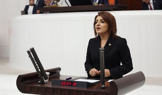 Gülcan Kış’tan  Köy Kanunu Teklifine Eleştiri: “Halkın Hakkını Gasbediyorsunuz!”