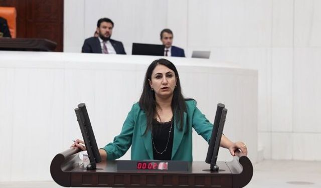 DEM PARTİLİ ZEYNEP ODUNCU: "KADINLAR İÇİN NE YAPTINIZ?"