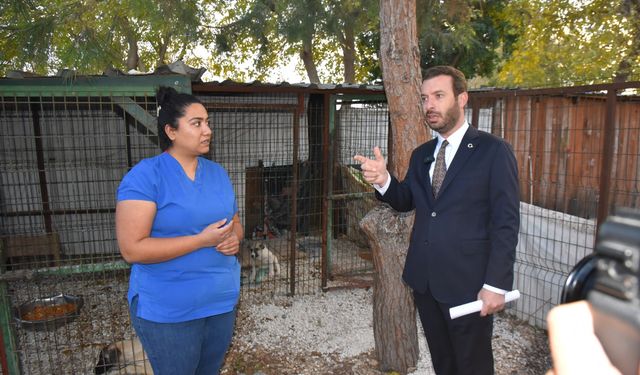 Kadir Aydar'dan Hayvan Barınağı İddialarına Canlı Yayınlı Cevap