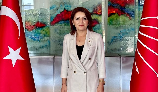 CHP'li Gülcan Kış’tan Yeni Yıl Mesajı:  “Umudumuzu ve Mücadelemizi Büyüteceğiz!”