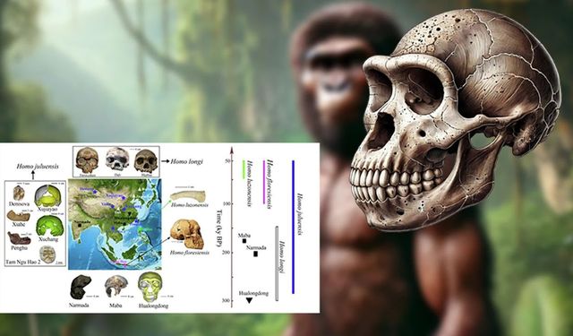 Çin’de yeni bir insan türü keşfedildi: Homo juluensis kimdir?