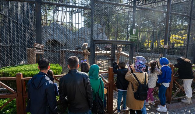 Tarsus Doğa Parkı’nda, 15 günlük ara tatil nedeniyle ziyaretçi sayısında ciddi artış yaşanıyor.