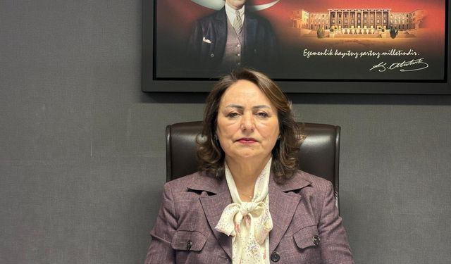 CHP'li Şevkin, “Adana ilçelerinde hükümetin izi yok”