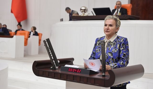 CHP'li Nimet Özdemir'den KKTC Seçimlerine İlişkin Çağrı: “Türkiye Tarafsızlığını Korumalı”