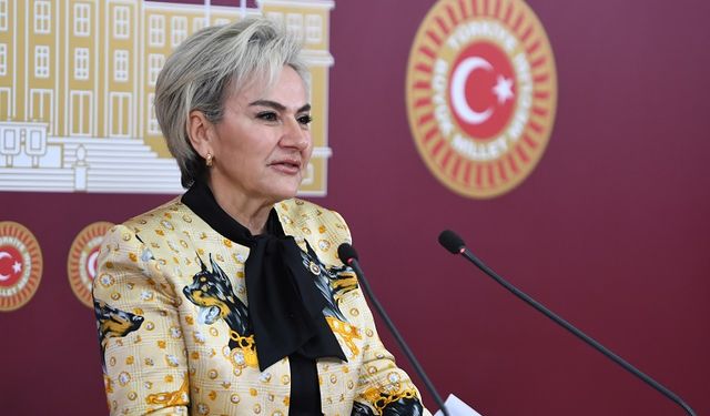 CHP'li Nimet Özdemir'den TBMM’ye Soru Önergesi: Boşanma Oranları Neden Artıyor?