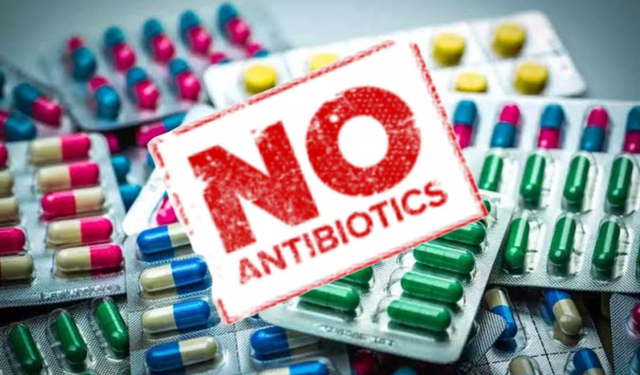 Dünya Sağlık Örgütü’nden Kritik Uyarı: Antibiyotik Direnci Küresel Krize Dönüşüyor