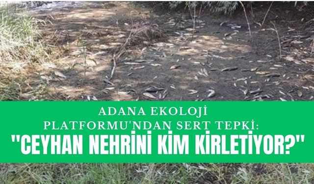 Adana Ekoloji Platformu'ndan Sert Tepki: "Ceyhan Nehrini Kim Kirletiyor?"