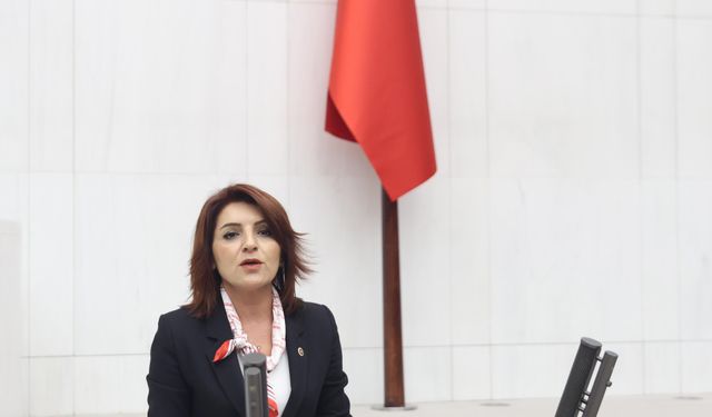 CHP'li Gülcan Kış:  “23 Nisan, halkın egemenliğine sahip çıkma kararlılığıdır!”