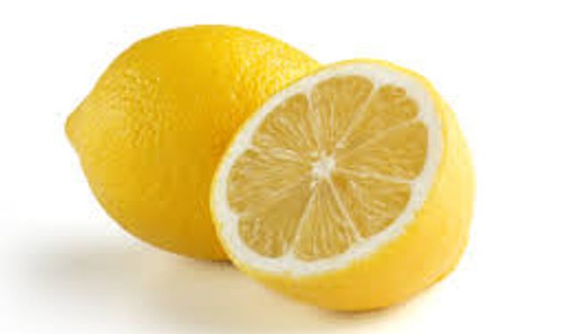 Limon İhracatı Durduruldu!