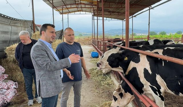 CHP’li Başevirgen’e Dert Yanan Besici: “Kurbanlığı Mazot Karşılığı Veriyoruz, Kartla Taksit Yapan Var”