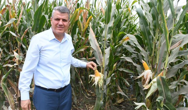 CHP'li Ayhan Barut, Sıfır gümrük vergili ithalat oyunu sürüyor