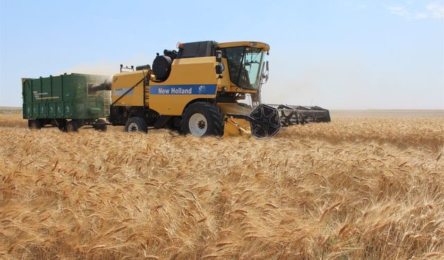 TMO 2026 hububat alım fiyatları açıklandı: Buğday 16.500 TL, arpa 12.750 TL