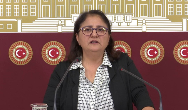 “Dersim’in Geri Dönüş Köyleri Hâlâ Yolsuz, Susuz, Elektriksiz”