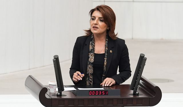 Gülcan Kış: Sarayın saltanatına karşı halkın düzenini kuracağız