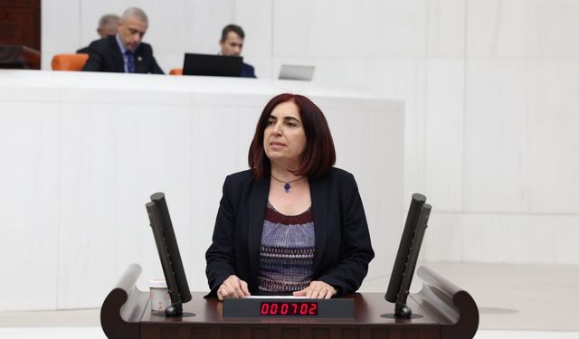 Sevilay Çelenk’ten Meclis’e “Randevu Krizi” Çıkışı: “Yurttaşlar Sağlık Hakkına Ulaşamıyor”