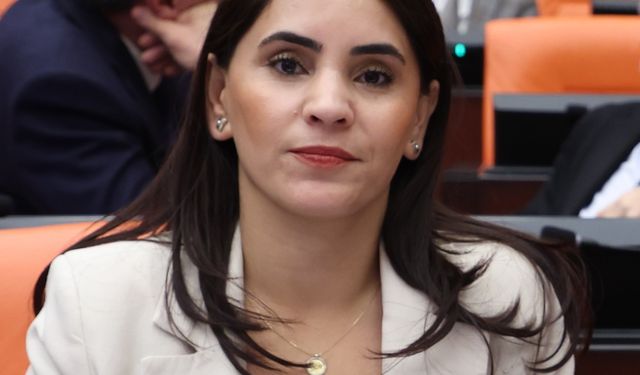 Nevroz Uysal Aslan’dan Meclis’e Çağrı: Kadına Yönelik Şiddet Araştırılsın!