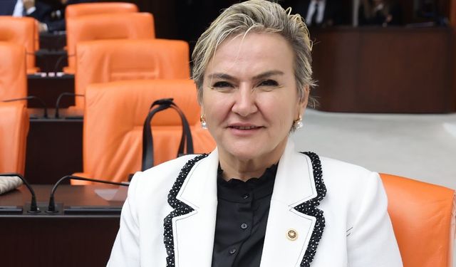 CHP İstanbul Milletvekili Nimet Özdemir İntibak Yasasını Meclis Gündemine Taşıdı
