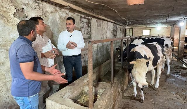 MANİSALI BESİCİ CHP’Lİ BAŞEVİRGEN’E DERT YANDI