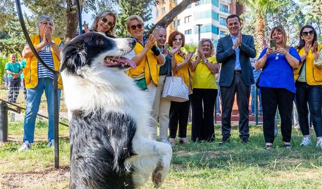 Yenişehir Belediyesinden patili dostlara özel park