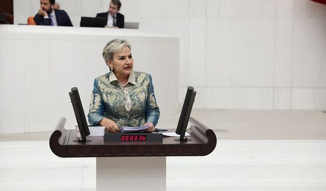 CHP'den Hayvanları Koruma Kanunu'na Alternatif Teklif: "Yaşam Hakkı İçin Direneceğiz"