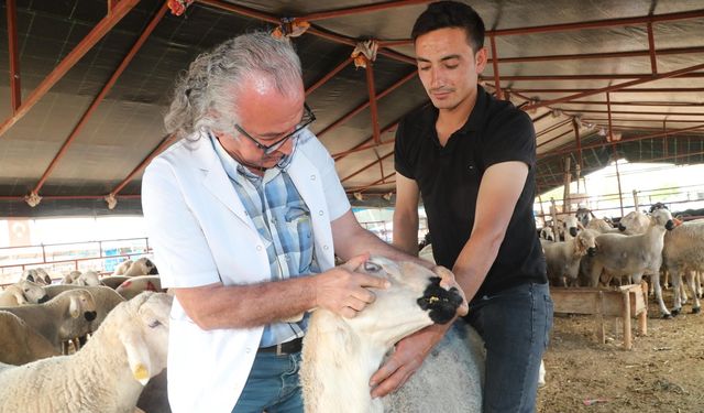 Yüreğir Belediyesi, yurttaşların güvenli gıdaya ulaşması için denetimlere devam edecek