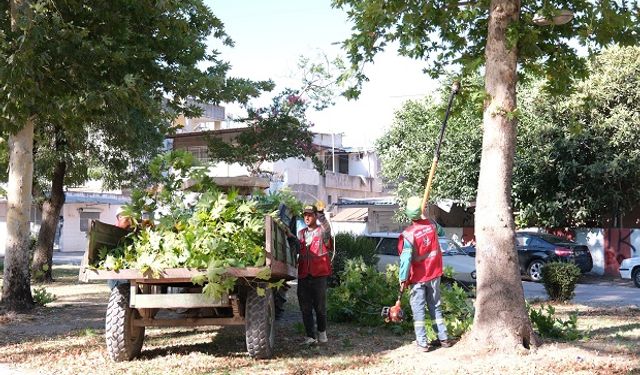 Ceyhan’da Mahalle Mahalle Temizlik ve Bakım Seferberliği
