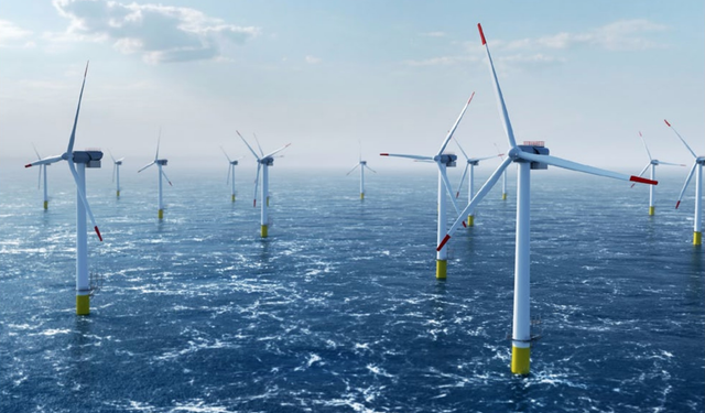 Yenilenebilir Enerji Kaynakları Biyolojik Çeşitliliği Koruyabilir ve Korumalıdır