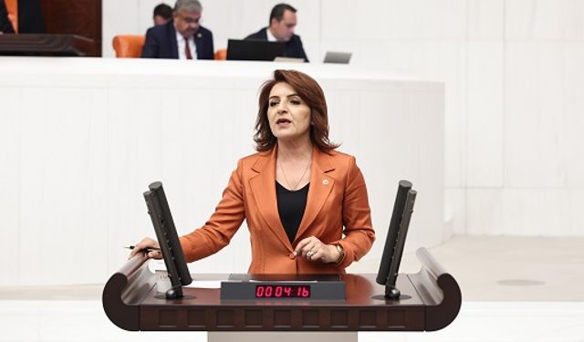 CHP'li Gülcan Şık, 12 MİLYON TON ÇÖP İTHALATI, SIFIR CEVAP!