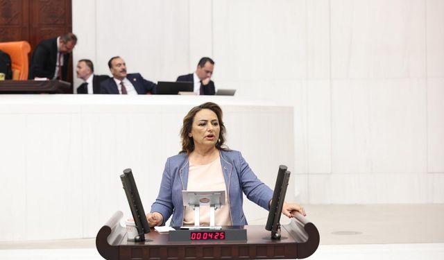 Müzeyyen Şevkin: “En pahalı kömürün tonu 9400 lira, en ucuz zeytinin tonu 200 bin lira”