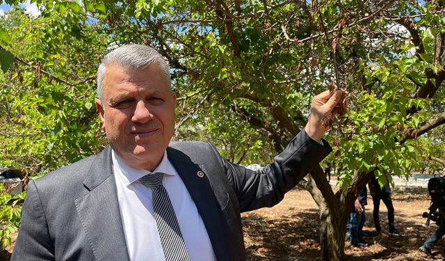 ZARAR BÜYÜK, DESTEK YETERSİZ Barut: “Sözde değil, gerçek çözüm istiyoruz”