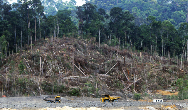 Tarım Platformu: Ormanlarımızın her ağacı, her toprağı halkındır!
