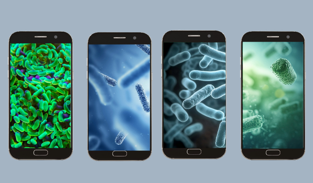 Telefonunuz Göründüğünden Daha Kirli: Doğru Temizlemezseniz Zarar Görebilir!