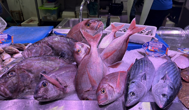 Deniz Ürünlerinde Sahteciliğe Karşı Nükleer Bilim Hamlesi