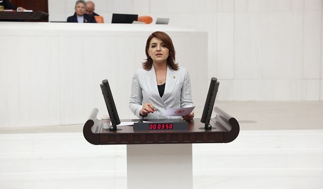 CHP Mersin Milletvekili Gülcan Kış, 622 MİLYAR LİRALIK SIR