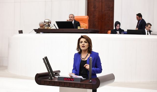 CHP’li Gülcan Kış: “Gençler, hayallerini değil kirasını hesaplıyor”