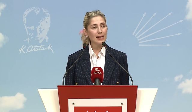 CHP’li Atalar’dan Zeytinli Rock Festivali’nin iptaline tepki