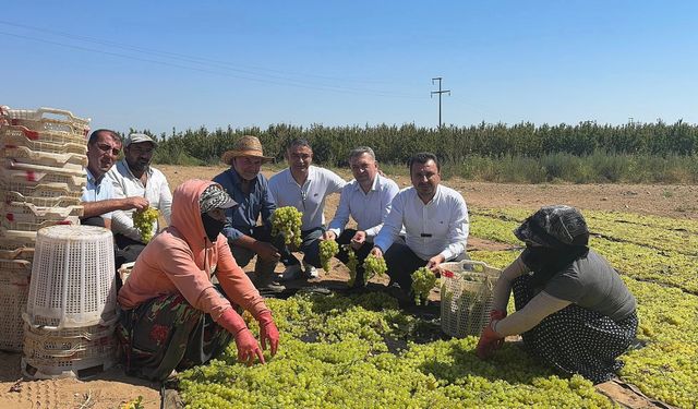 CHP’li Başevirgen’den TMO’ya ve Bakanlığa Çağrı: TMO Üzüm Taban Fiyatını Açıklasın